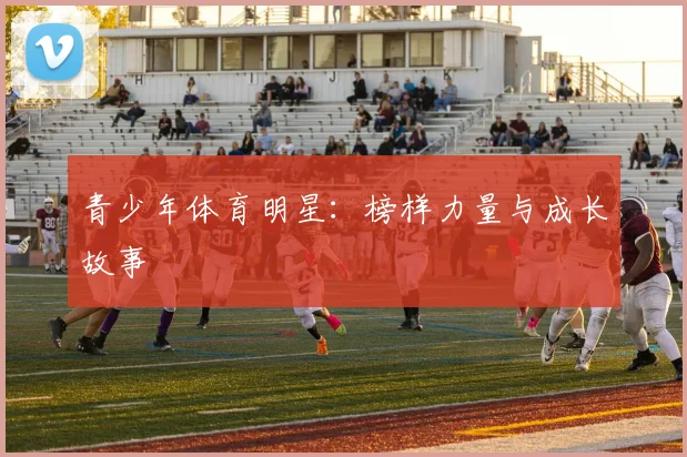 青少年体育明星：榜样力量与成长故事